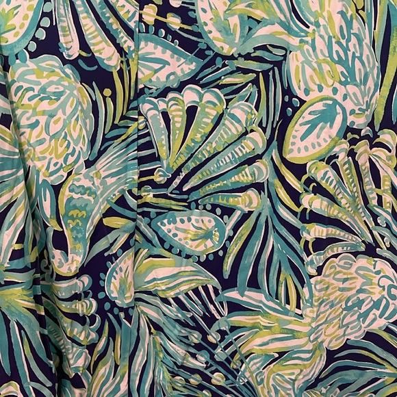 Lilly Pulitzer Dress - Picture 3 of 3